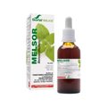 Melsor