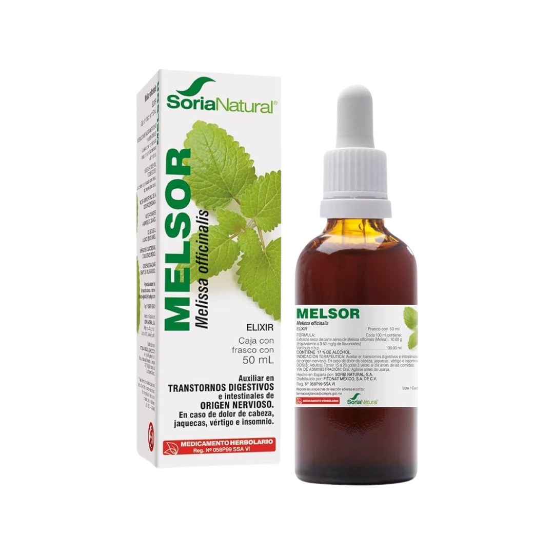 Melsor